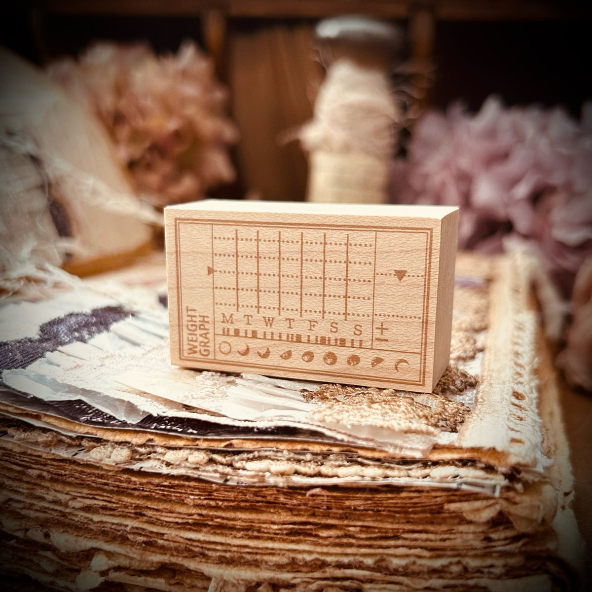 体重のグラフ week